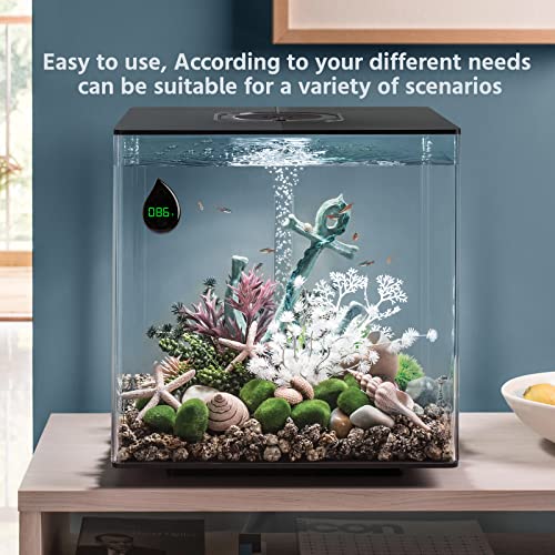 Digital Aquarium Thermometer with LED Display