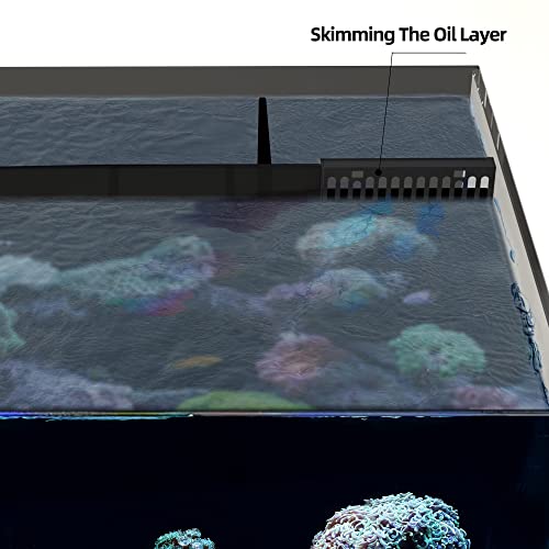 Landen 60P Ultra Clear Rimless Aquarium Tank