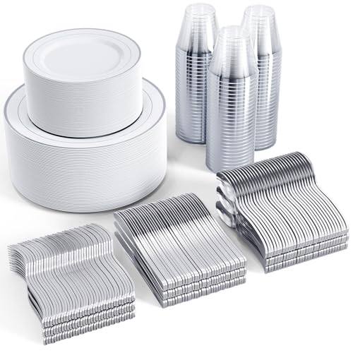 Silver Rim Plastic Dinnerware Set for 100 Guests