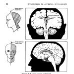 Artificial Intelligence Basics: Third Edition Guide