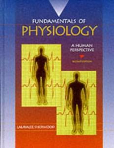 Agentic AI: Workflows, Fine-Tuning, and Deployment