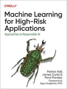 Responsible AI in High-Risk Machine Learning