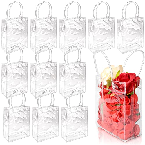 24 Clear Plastic Favor Bags for Parties
