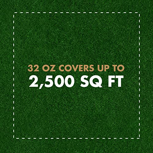 Spectracide Immunox Fungus Plus Insect Control