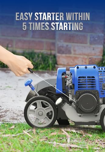 Wild Badger Power WB31CCED Gas Sidewalk Edger