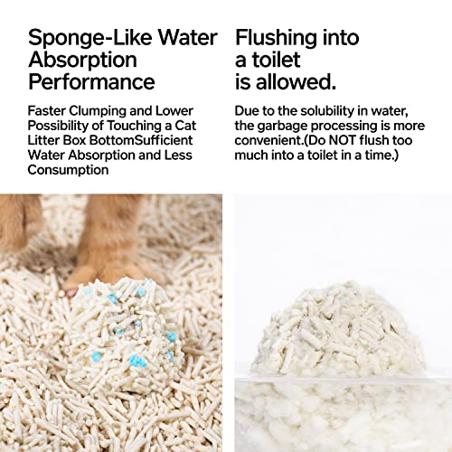 Pidan Tofu Cat Litter - Ultra Absorbent & Flushable