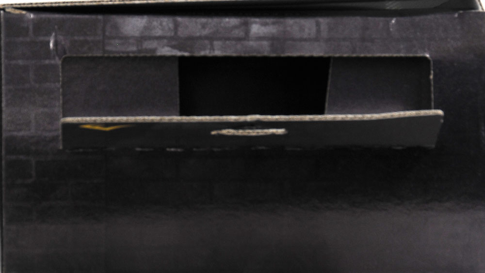 Red/Black Everlast Punch Mitts