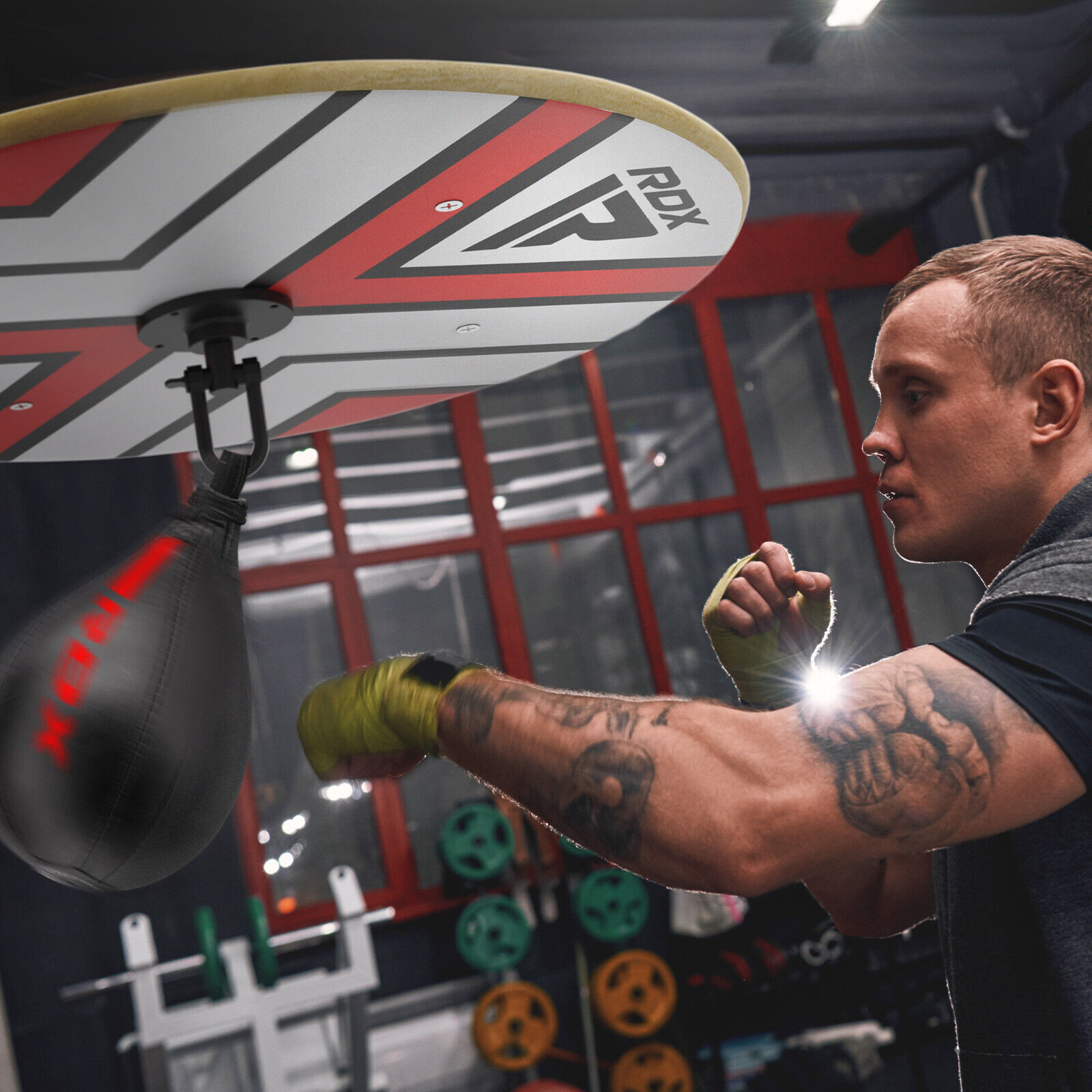 RDX Boxing Speed Ball: Double End, Heavy, MMA