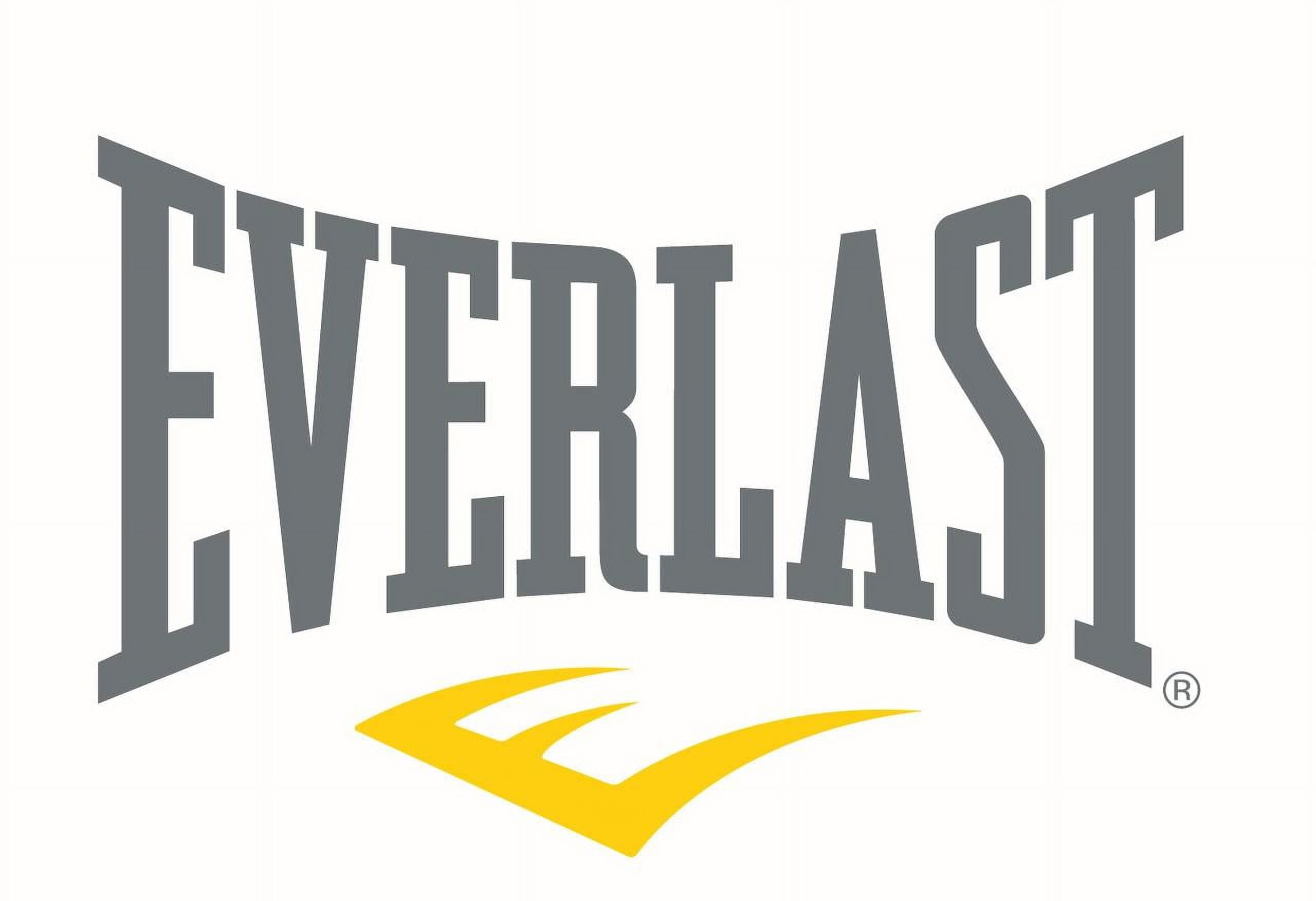 14oz Red Everlast Pro Boxing Glove