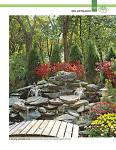 DIY Guide to Water Features and Ponds