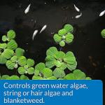 API Pond Algaefix Algae Control 32oz Bottle