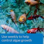 API Pond Algaefix Algae Control 32oz Bottle