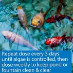 API Pond Algaefix Algae Control, 1 Gallon