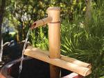 Bamboo 12" Adjustable Fountain Kit with Pump