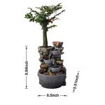 Haobos 4-Bowl Indoor Fountain with Plant Pot