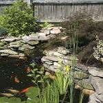 TetraPond Submersible Flat Box Filter, For 250 To 500 Gallon Ponds