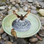 HOUYANG Solar Bird Bath Fountain for Outdoor Decor
