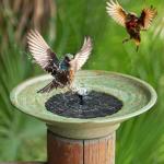 HOUYANG Solar Bird Bath Fountain for Outdoor Decor