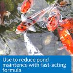 API Simply Clear Pond Water Clarifier 16 oz