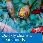 API Simply Clear Pond Water Clarifier 16 oz