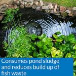 API Simply Clear Pond Water Clarifier 16 oz