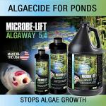 Algae Control Treatment for Ponds and Water Gardens
