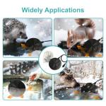 Outdoor Bird Bath Heater with Thermostat Control