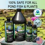 Algae Control Treatment for Ponds and Water Gardens