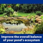 AllClear G2 Bio Pressure Filter & UV Clarifier