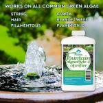 Algaecide for Clear, Healthy Fountains (8 oz)