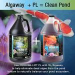 Algae Control Treatment for Ponds and Water Gardens