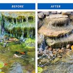 CrystalClear Fast-Acting Pond Algae Control, 16 Ounces