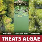 Pond Guy InstaFix Algae Control Solution 16 oz