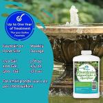 Algaecide for Clear, Healthy Fountains (8 oz)