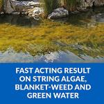 CrystalClear Fast-Acting Pond Algae Control, 16 Ounces