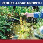 Pond Guy InstaFix Algae Control Solution 16 oz