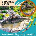 Algaecide for Clear, Healthy Fountains (8 oz)