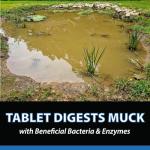 MuckOff Pond Sludge Remover Tablets – 24 Pack