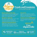 Algaecide for Clear, Healthy Fountains (8 oz)
