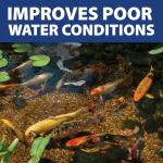 Pond Guy InstaFix Algae Control Solution 16 oz