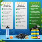 Flexzion Bio Pressure Pond Filter with UV Light