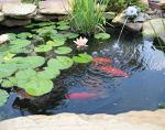 Small 4x7 Foot Pond Liner for Outdoor Use