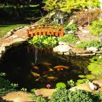 PondBuilder 4,000 GPH Pond Kit with Liner