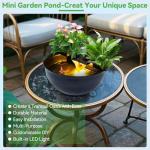 Mini Water Garden Pond Kit with Waterfall & Light