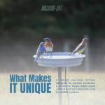 Bird Bath & Fountain Water Cleaner – 4 Oz