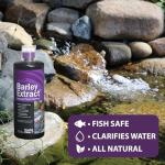 Barley Extract Clear Water Garden & Fountain 1 Gallon