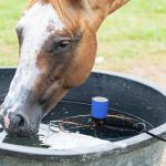 1500 Watt Submergible Water Heater Deicer