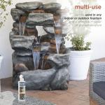 Alpine 8 oz. Fountain Cleaner for Foam & Scale