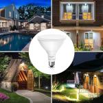 Dimmable 5000K LED Flood Light Bulbs 2-Pack