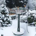 Winter Bird Bath Heater and Deicer – 60 Watts
